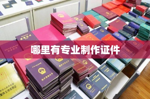 美溪哪里有专业制作证件