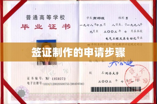 美溪签证制作的申请步骤