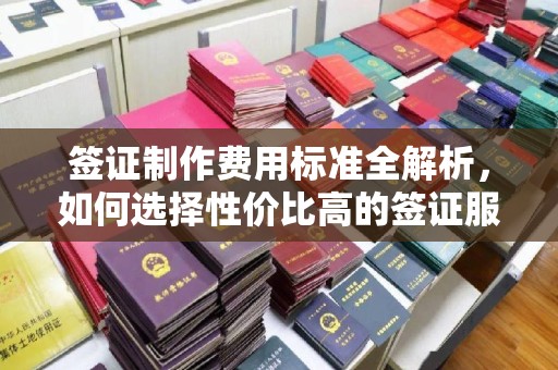 美溪签证制作费用标准全解析，如何选择性价比高的签证服务？