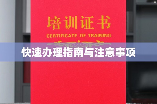 美溪快速办理指南与注意事项